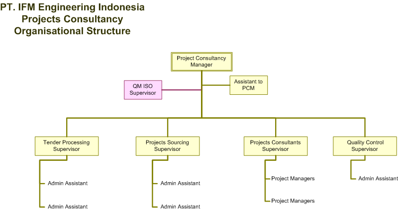 Project Consultancy Org Chart